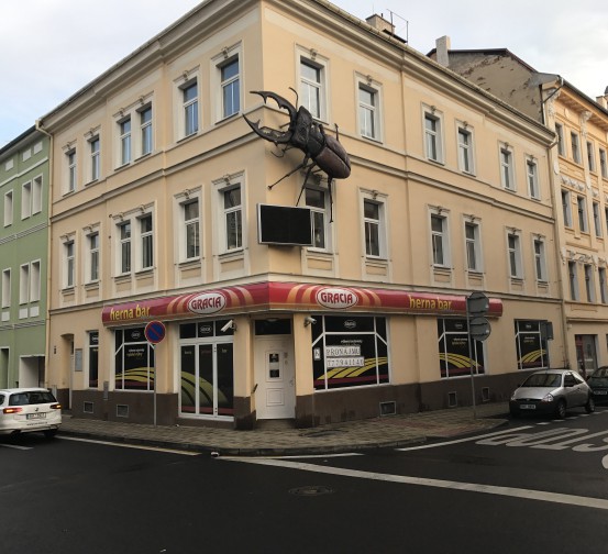 rekonstrukce kanceláře